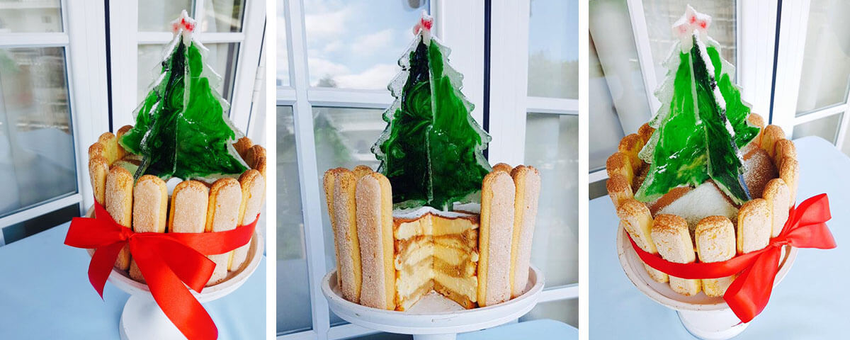 Christmas Sugar Tree Tiramisu